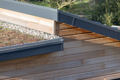 budleigh green roof